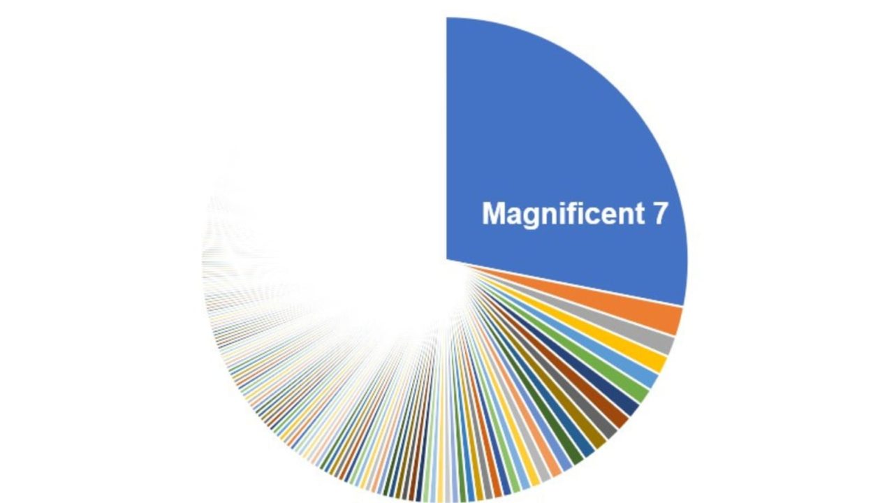 Magnificent 7