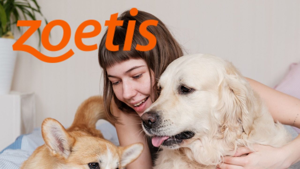 Zoetis revolutionizes pet care.