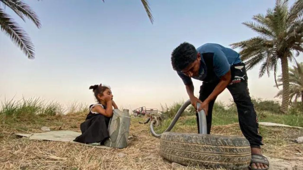 The water shortage exacerbates the challenges faced by Iraqi farmers, contributing to the decline of traditional crops like date palms.
