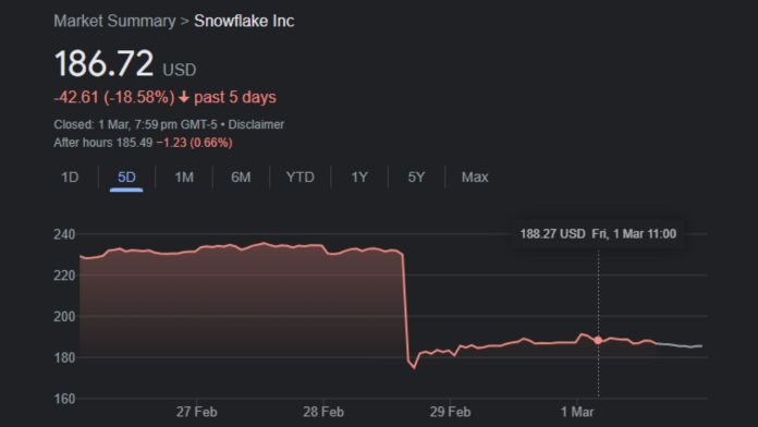 Snowflake Shares