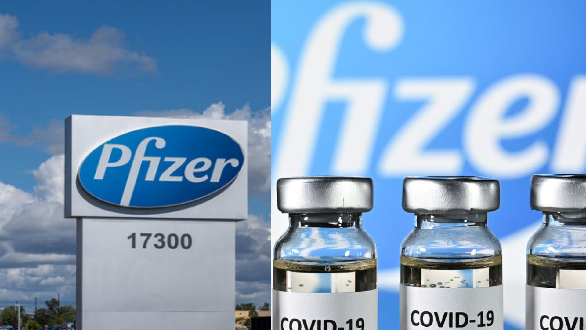Pfizer’s shares fell nearly 50% in 2023