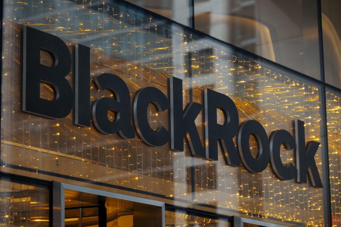 BlackRock's Bitcoin ETF Sees No Inflows for Fifth Day Despite Market Interest Surge