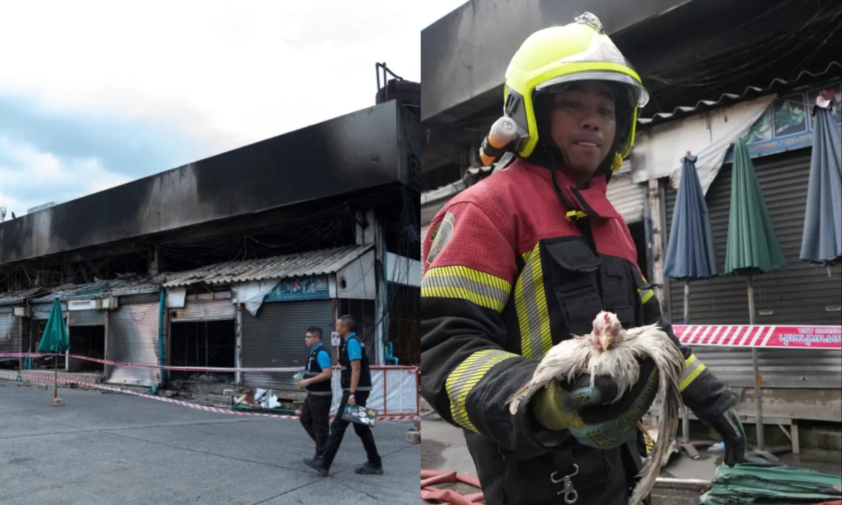 Devastating Fire at Bangkok's Chatuchak Market Kills Hundreds of Caged Animals