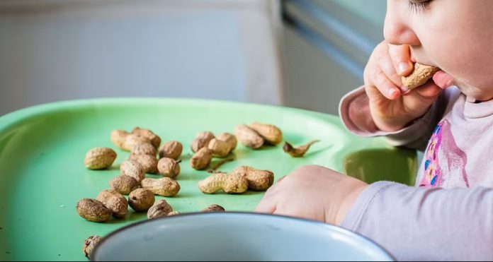 Australia Revealls National Program to Treat Severe Peanut Allergies in Children