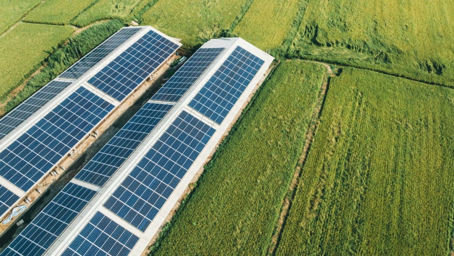 Google Partners with New Green Power for 1GW Renewable Energy Project in Taiwan