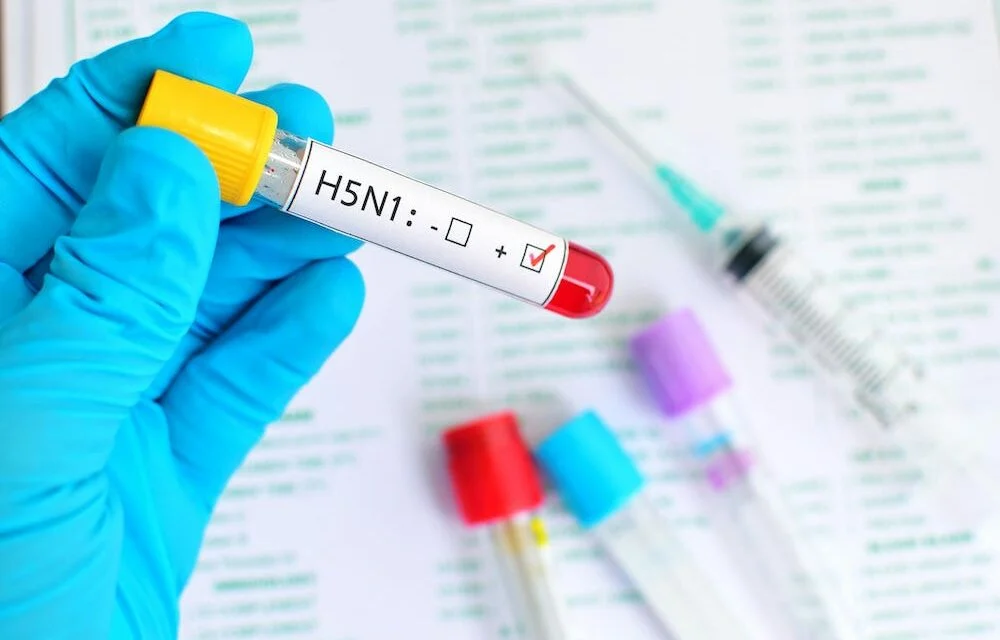 New Rapid Test by Alveo Technologies Detects H5N1 Avian Influenza in Cattle and Humans in Colorado