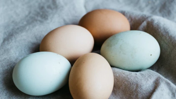 Salmonella Infections in Ireland Linked to Duck Eggs; FSAI Issues Safety Warning