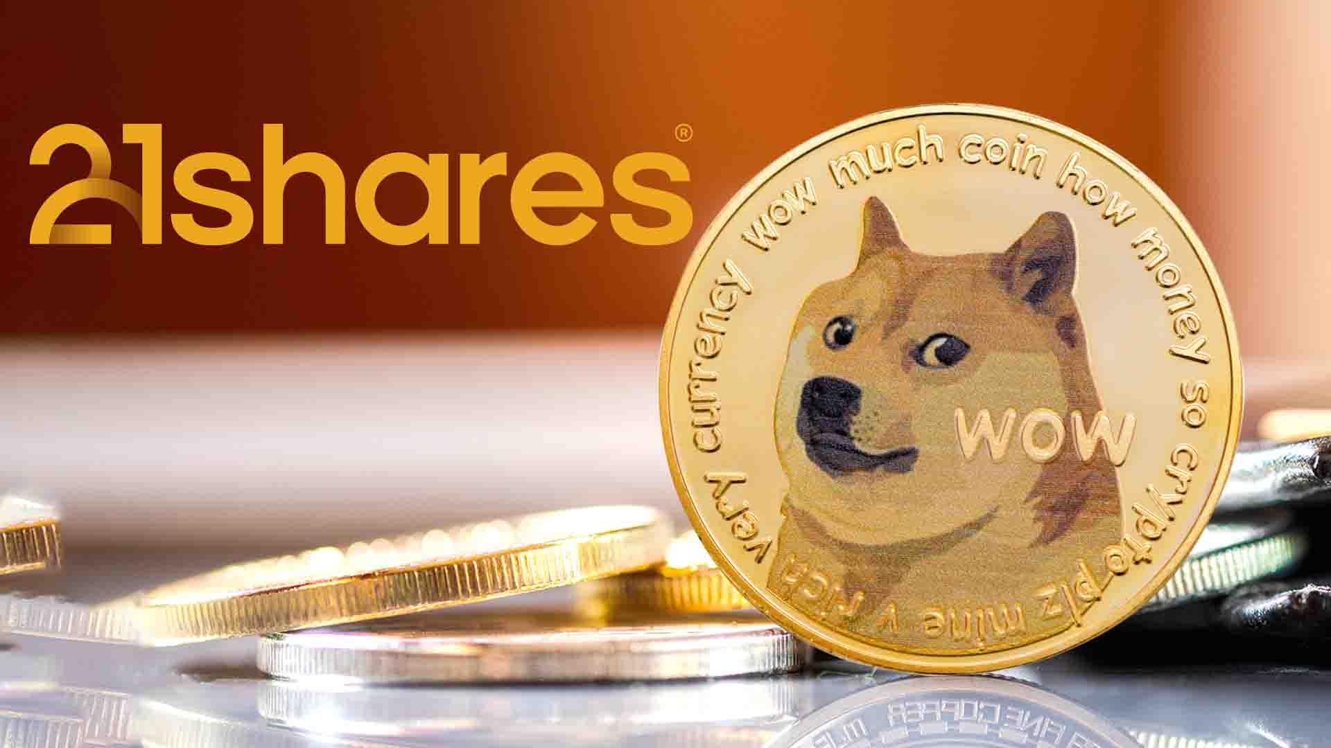 DOGE ETP