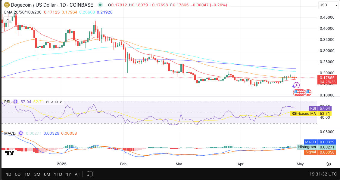 DOGE/USD 24-hour price chart