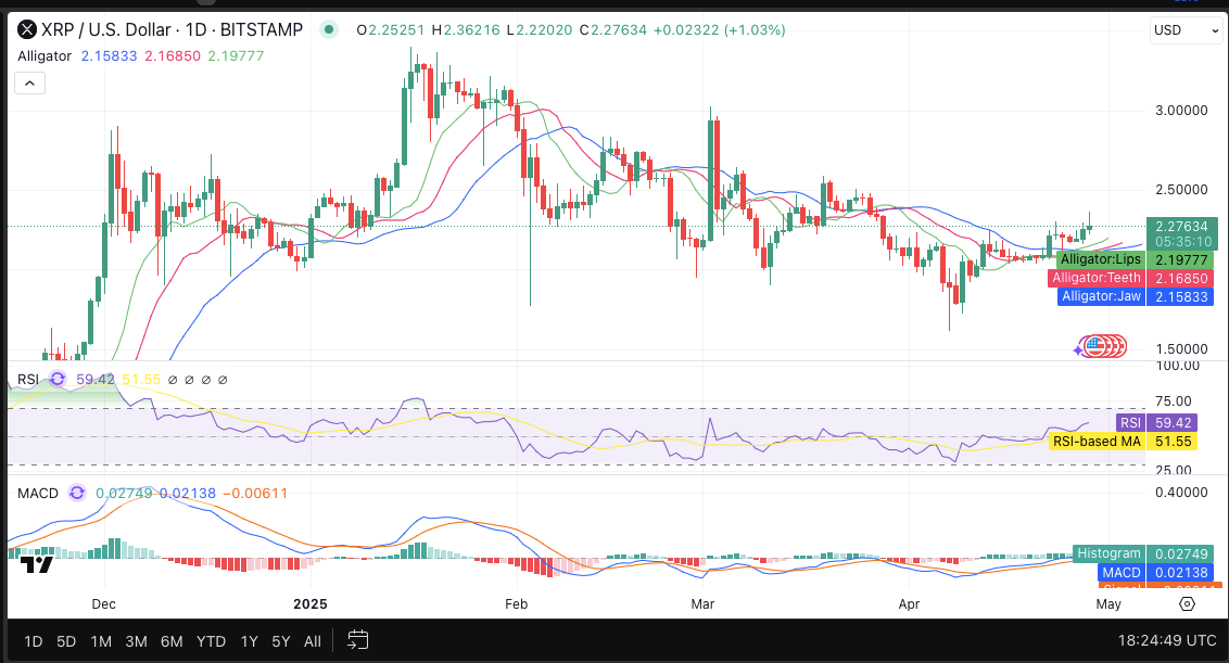 XRP/USD 24-hour price