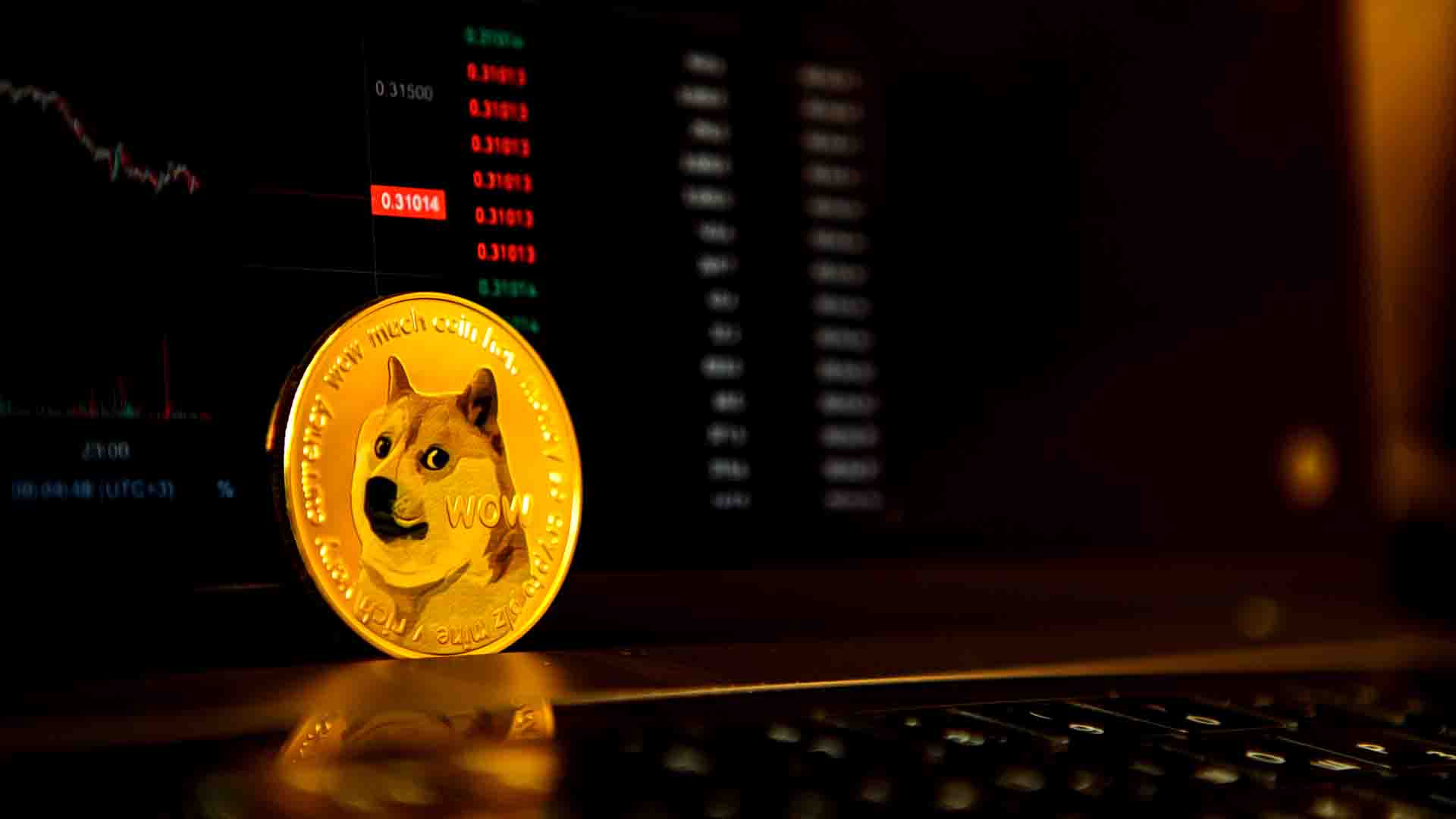 dogecoin