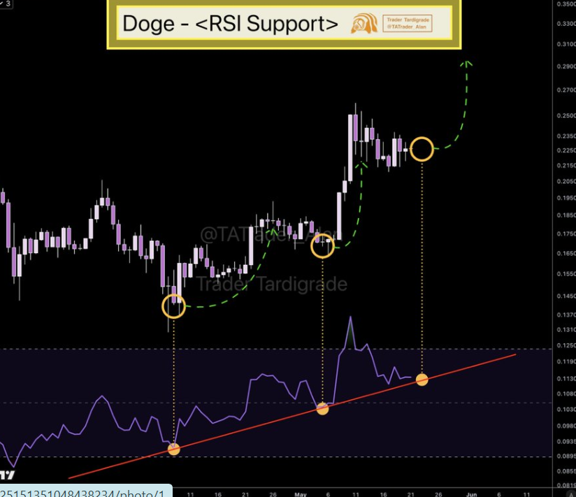 Dogecoin Price Chart | Source: X