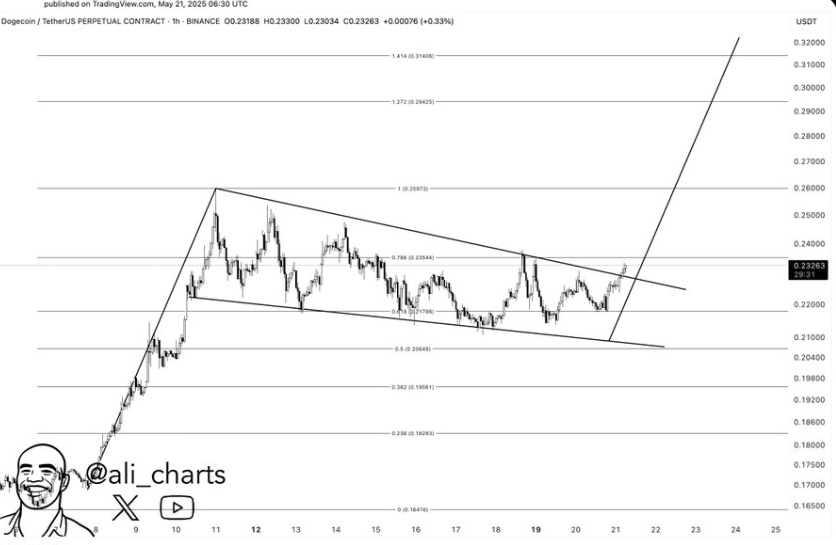 Dogecoin Price Chart | Source: X