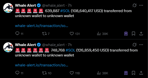 Solana whale transfers