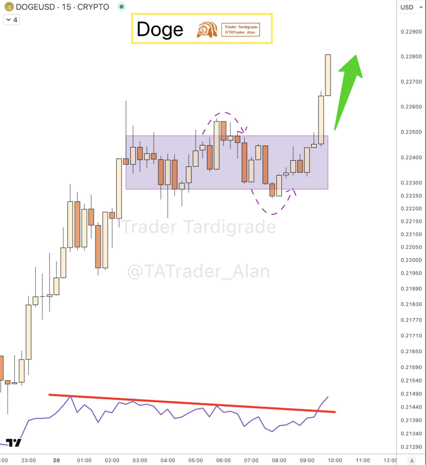 doge usd