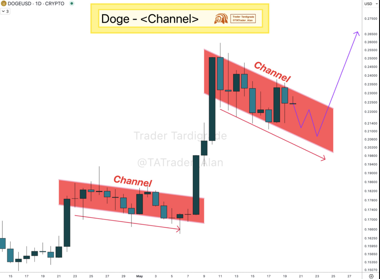 doge price