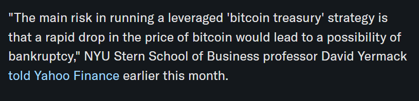 David Yermack Words on Bitcoin Treasury